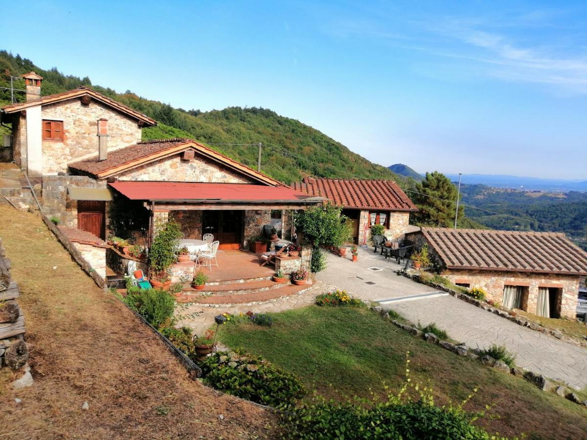 Villa Armonia Borgo a Mozzano Exterior photo